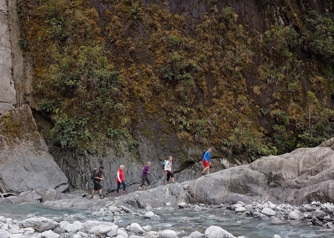 Franz Josef Nature Tour