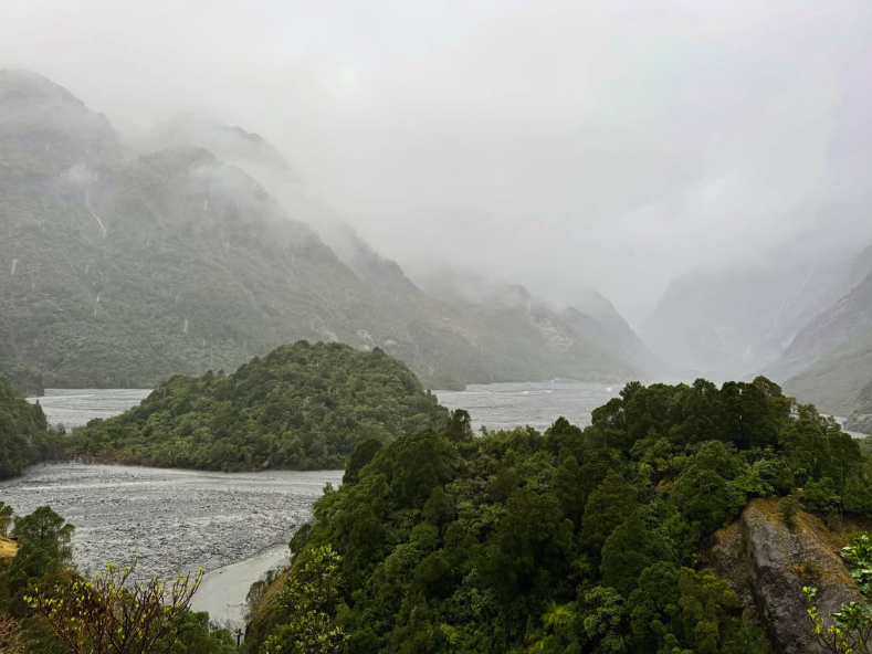 Rainforest side-track on the valley walk